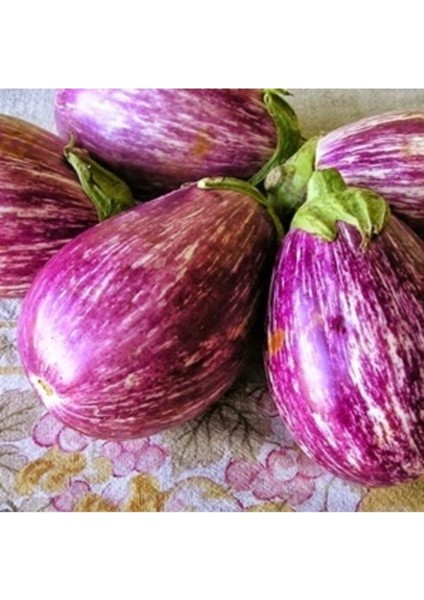 50 Adet Tohum Organik Çizgili Yalova Dolmalık Patlıcan Tohumu Taze Hasat Tohum Hediye Tohum