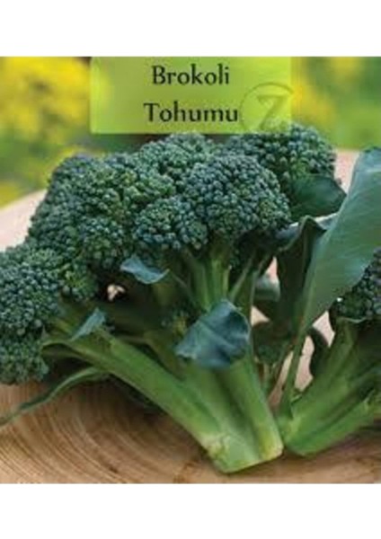 150 Adet Tohum Nadir Bol Verimli Yeşil Brokoli Tohumu Taze Yeni Hasat Tohum Hediye Tohumlu fiyatları