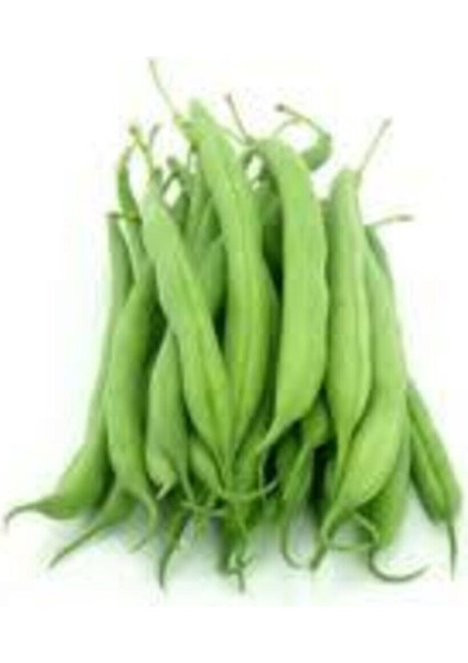 15 Adet Tohum İstanbul Boncuk Ayşe Kadın Kılçıksız Fasulye Tohum Sürpriz Hediye Tohum Sebze Tohum modelleri