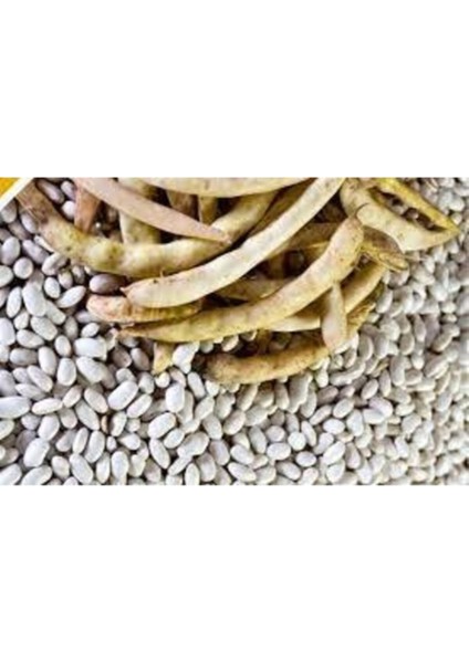 200 Adet Tohum Organik Taze Sırık Beyaz Fasulye Tohumu Niğde Yayla Pişken Fasulye Tohumu modelleri