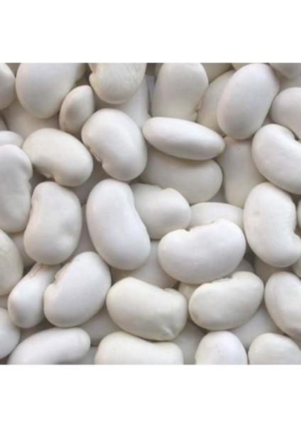 200 Adet Tohum Organik Taze Sırık Beyaz Fasulye Tohumu Niğde Yayla Pişken Fasulye Tohumu fırsatları