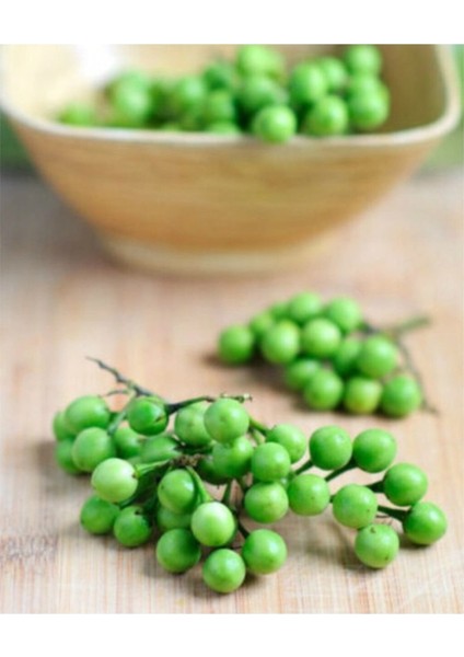 20 Adet Tohum Minik Bezelye Patlıcanı Tohumu Organik Tropikal Patlıcan Tohum Hediye Tohumludur