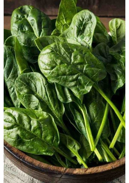 50 Adet Tohum Nadir Organik Köy Taze Yeşil Ispanak Tohumu Hobi Bahçe Tohum Hediye Tohumlu