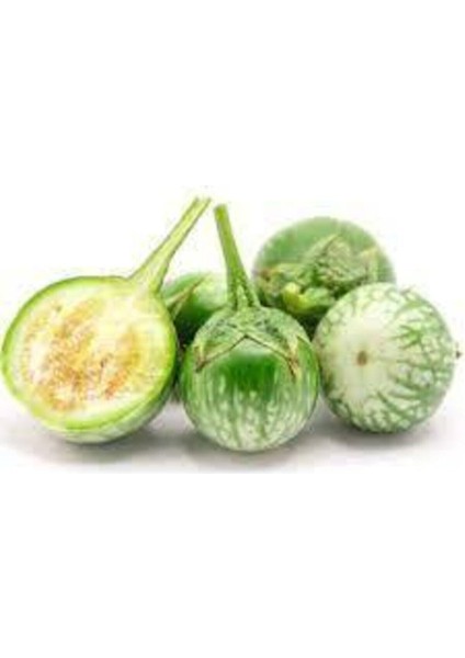 5 Adet Tohum Yeşil Dolmalık Patlıcan Tohum İthal Nadir Thayland Patlıcan Saksı Toprak Sürpriz Hediye