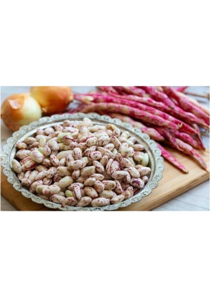 150 Adet Tohum Nadir Barbunya Tohumu Kaliteli Taze Tohumlar Sürpriz Hediye Tohumlu