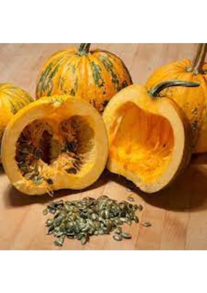 50 Adet Tohum Nadir Bulunan Kabuksuz Kabak Çekirdeği Tohum Saksı Toprak Hediye