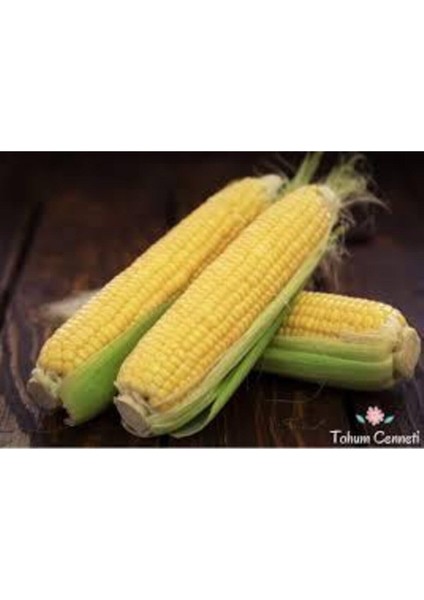 15 Adet Tohum Organik Yumuşak Haşlamalık Süt Mısır Tohumu Darı Tohumu Sürpriz Hediye Tohum