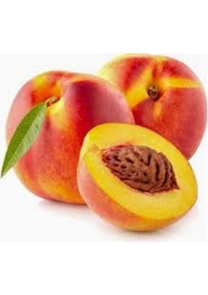 2 Adet Tohum Organik Hobi Bahçe Nektarin Meyve Ağaç Tohumu Saksı Toprak Hediyemiz