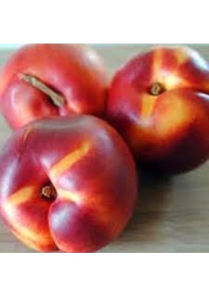 2 Adet Tohum Organik Hobi Bahçe Nektarin Meyve Ağaç Tohumu Saksı Toprak Hediyemiz modelleri