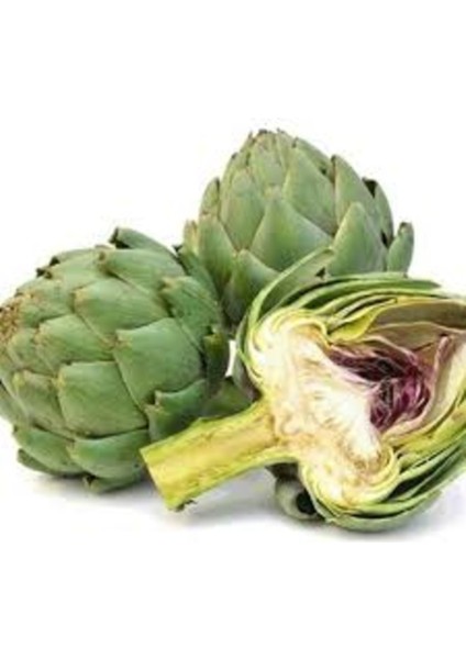 10 Adet Tohum Organik Hobi Bahçe Yeşil Enginar Tohumu Yeni Hasat