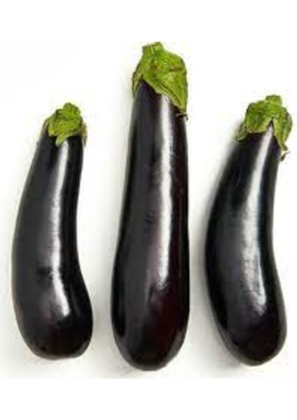 100 Adet Tohum Organik Bahçe Antalya Kemer Patlıcan Tohumu Taze Saksı Topraklı