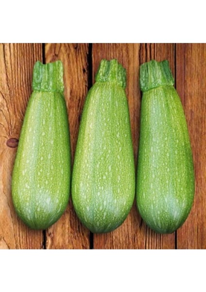 10 Adet Tohum Nadir Organik Dolmalık Yeşil Taze Kabak Tohumu Hobi Bahçe Tohum Hediye Tohum