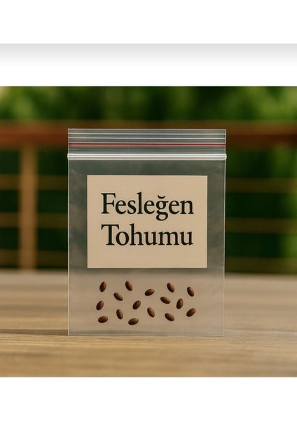 Fesleğen Yetiştirme Seti 25 Adet Yeşil Yapraklı Fesleğen Tohumu + Saksı + Toprak fiyatları