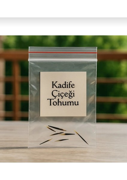 Kadife Çiçeği Yetiştirme Seti 25 Adet Tohum + Saksı + Toprak fiyatları