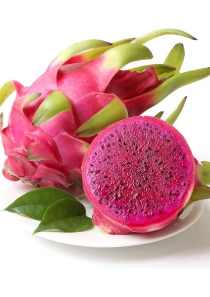 Kırmızı Pitaya Ağacı Tohum Ithal Ejder Meyvesi Tohumu 10 Adet Tohum fiyatları