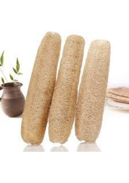 100 Adet Tohum Eko Paket Lif Kabak Tohumu Kabak Tohumu Lif Kabağı Tohumu Sürpriz Hediye Tohumludur modelleri