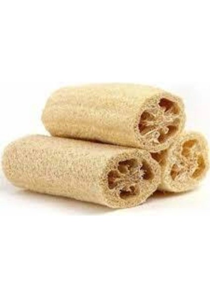 10 Adet Tohum Lif Kabak Tohumu Kabak Tohumu Lif Kabağı Tohumu Süpriz Hediye Tohum