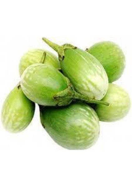 20 Adet Tohum Nadir Yeşil Dolmalık Patlıcan Tohum İthal Nadir Thayland Patlıcanı Sürpriz Hediyeli