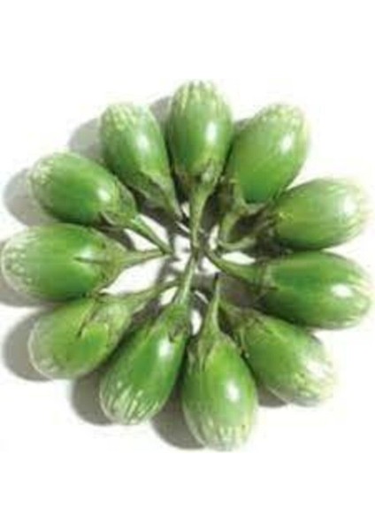 20 Adet Tohum Nadir Yeşil Dolmalık Patlıcan Tohum İthal Nadir Thayland Patlıcanı Sürpriz Hediyeli fiyatları