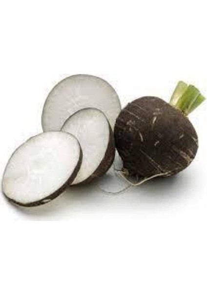 100 Adet Tohum Siyah Turp Tohumu Kara Turp Siyah Turp Tohumu Sürpriz Hediye Tohumlu