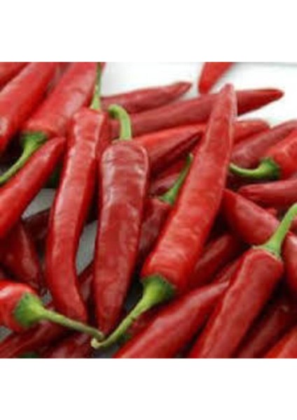 20 Adet Tohum Nadir Çok Acı Tayland Süs Biberi Tohumu Acı Biber Tohumu Sürpriz Hediye Tohumlu