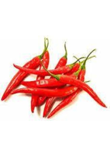 20 Adet Tohum Nadir Çok Acı Tayland Süs Biberi Tohumu Acı Biber Tohumu Sürpriz Hediye Tohumlu fiyatları