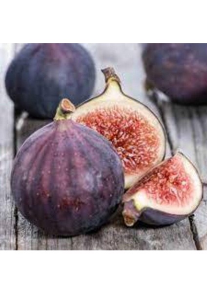 20 Adet Tohum Siyah İncir Tohumu Yemiş İncir Bal İncir Tohumu Sürpriz Hediye Tohum