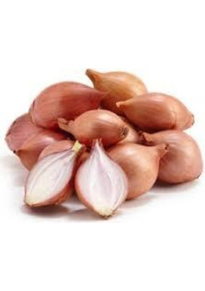 300 Adet Tohum Süper Paket Kıska Soğan Tohumu Soğan Kıskası Tohum Sürpriz Hediye Sebze Tohumlu