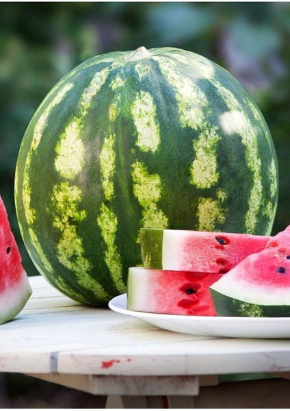 30 Adet Tohum Organik Dev İri Diyarbakır Karpuzu Karpuz Tohumu Yeni Sezon Hediye Tohumlu