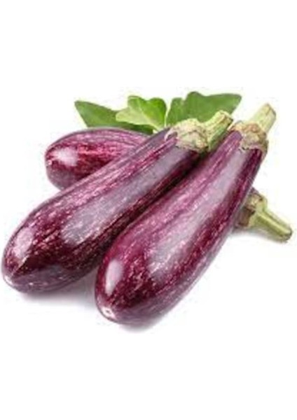 150 Adet Tohum Nadir Bulunan Manisa Alaca Kemer Patlıcan Tohumudur