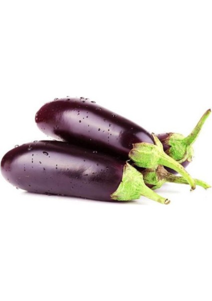 Kemer Patlıcan Tohumu Patlıcan Tohumu 25 Adet Tohum modelleri