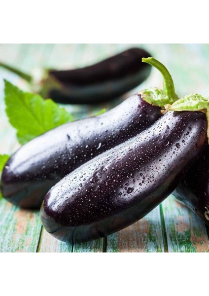 Kemer Patlıcan Tohumu Patlıcan Tohumu 25 Adet Tohum fırsatları