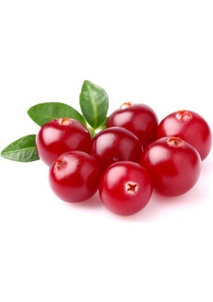 Cranberry Tohumu Turna Yemişi Tohumu 5 Adet Tohum modelleri