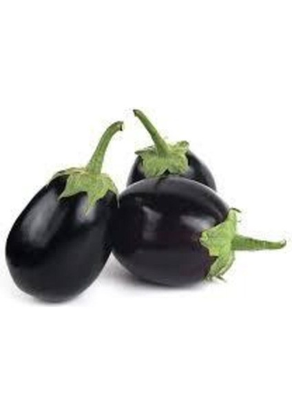 100 Adet Tohum Süper Paket Topak Patlıcan Tohumu Adana Topak Patlıcan Tohumu Sürpriz Hediye Tohum