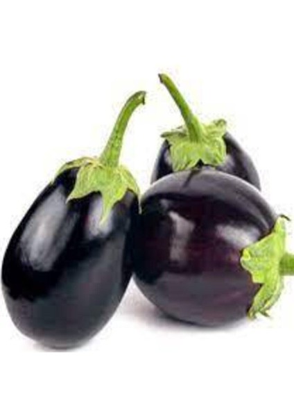 100 Adet Tohum Süper Paket Topak Patlıcan Tohumu Adana Topak Patlıcan Tohumu Sürpriz Hediye Tohum fiyatları