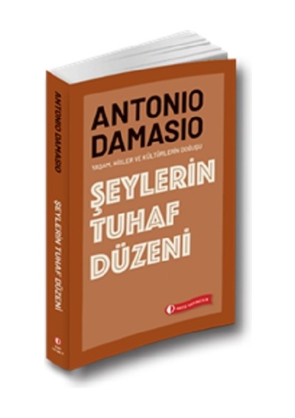 Şeylerin Tuhaf Düzeni