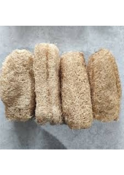 3 Adet 20 cm Lif Kabak Banyo Sünger Lifi Bulaşık Yıkama Antibaktireyel Banyo Kese Doğal Lif Kabağı