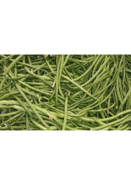 Acebek Tohumu Börülce Tohumu 20 Adet Tohum modelleri