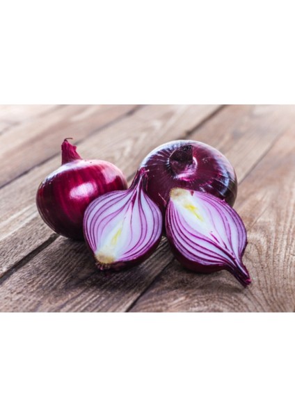 Mor Soğan Tohumu, Standart Tohumluk, 50 Adet Tohum