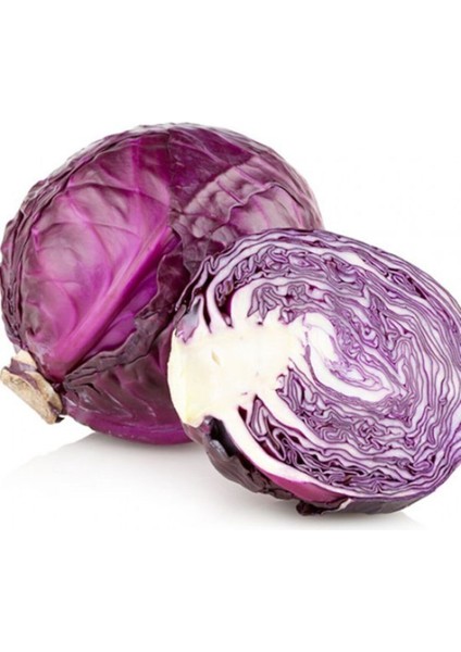 Kırmızı Lahana Tohumu Mor Lahana Tohumu 50 Tohum