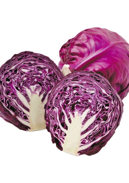 Kırmızı Lahana Tohumu Mor Lahana Tohumu 50 Tohum fiyatları