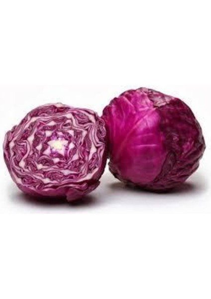 Kırmızı Lahana Tohumu Mor Lahana Tohumu 50 Tohum fırsatları