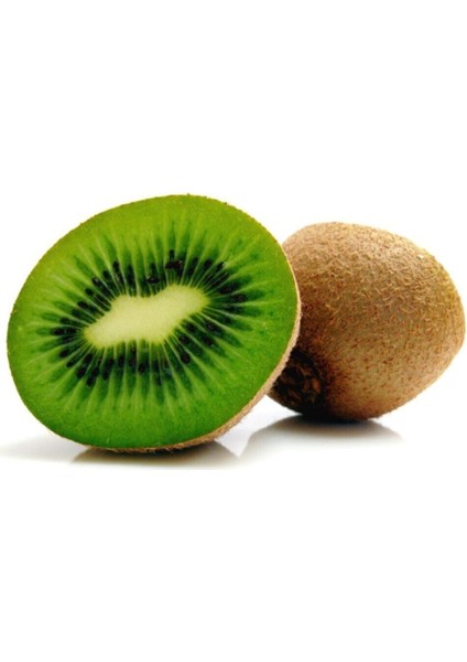 Kivi Ağacı Tohumu Yeşil Tatlı Kivi Tohumu 10 Adet Tohum fırsatları