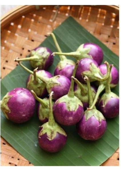 Mini Mor Patlıcan Tohum İthal Nadir Thayland Patlıcanı 5 Adet Tohum fiyatları