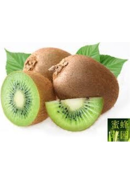 5 Adet Tohum Bodur Kivi Bonsai Ağacı Tohumu Saksı Toprak Süpriz Hediye Bonsai Ağacı Tohumludur fiyatları