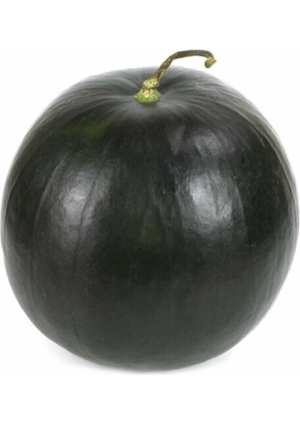 Büyük İri Boy Halep Karpuz Tohumu Kara Karpuz Tohumu 15 Adet Tohum fırsatları