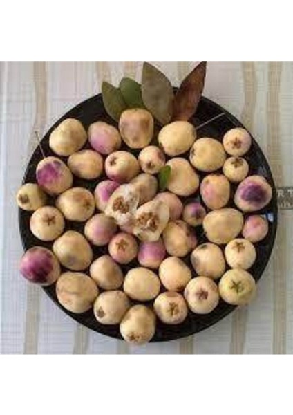 10 Adet Tohum Tropikal Nadir Hambeles Meyvesi Tohumu Orjinak Tohum Sürpriz Hediye Tohumludur