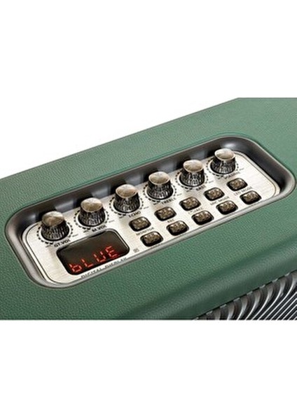 BB1038 Bluetooth Hoparlör Yeşil Renkli Ahşap Kasa 60W Güç ve Bluetooth 5.0 fiyatları