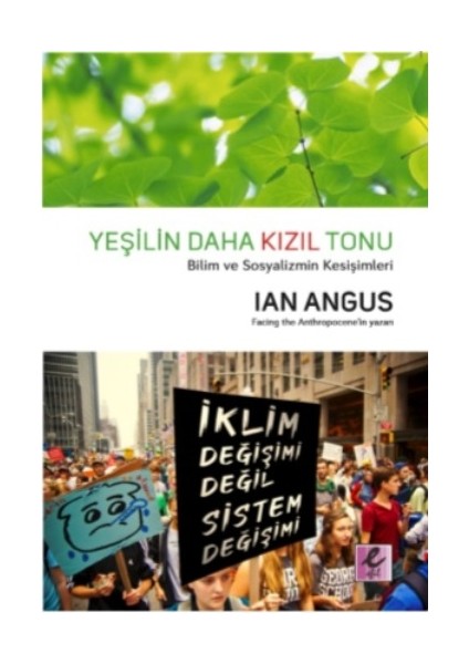 Yeşilin Daha Kızıl Tonu