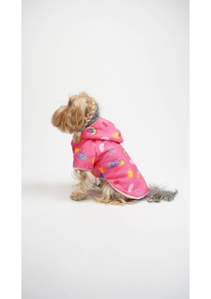 Kedi Köpek Mont Rainbow